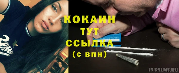 дживик Вязьма