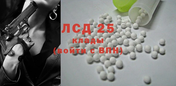 стаф Вяземский