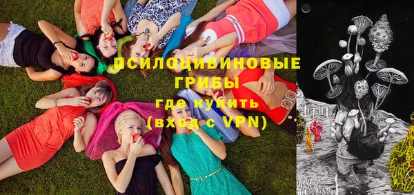 стаф Вяземский