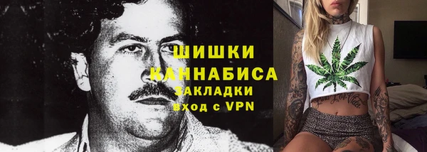 дживик Володарск