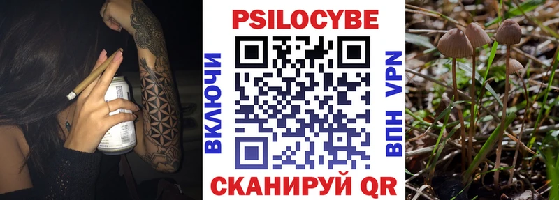 Галлюциногенные грибы Cubensis  Соль-Илецк 