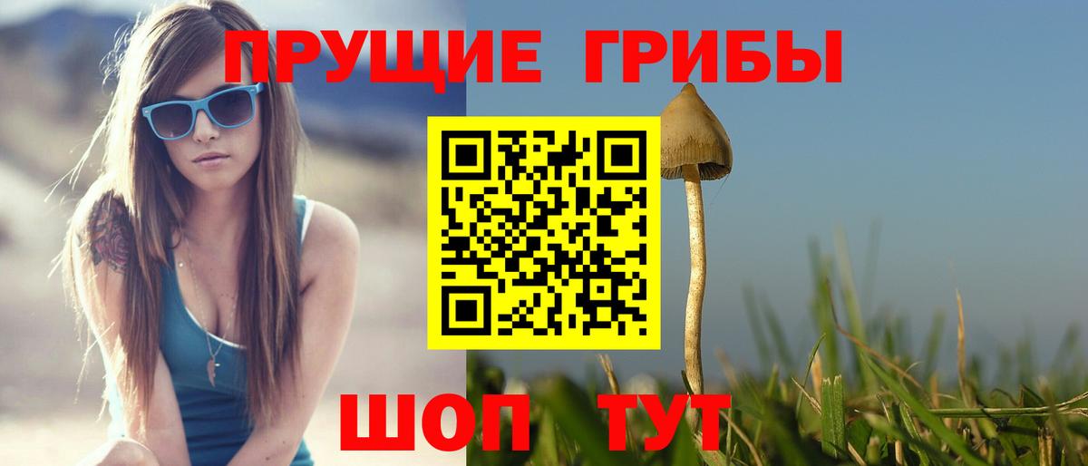 Галлюциногенные грибы ЛСД  Вход с VPN  Соль-Илецк  Псилоцибиновые грибы GOLDEN TEACHER 