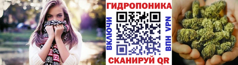 как найти   Соль-Илецк  МАРИХУАНА сатива 